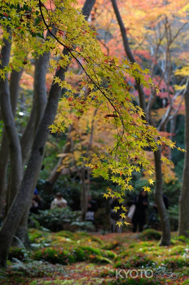 祇王寺