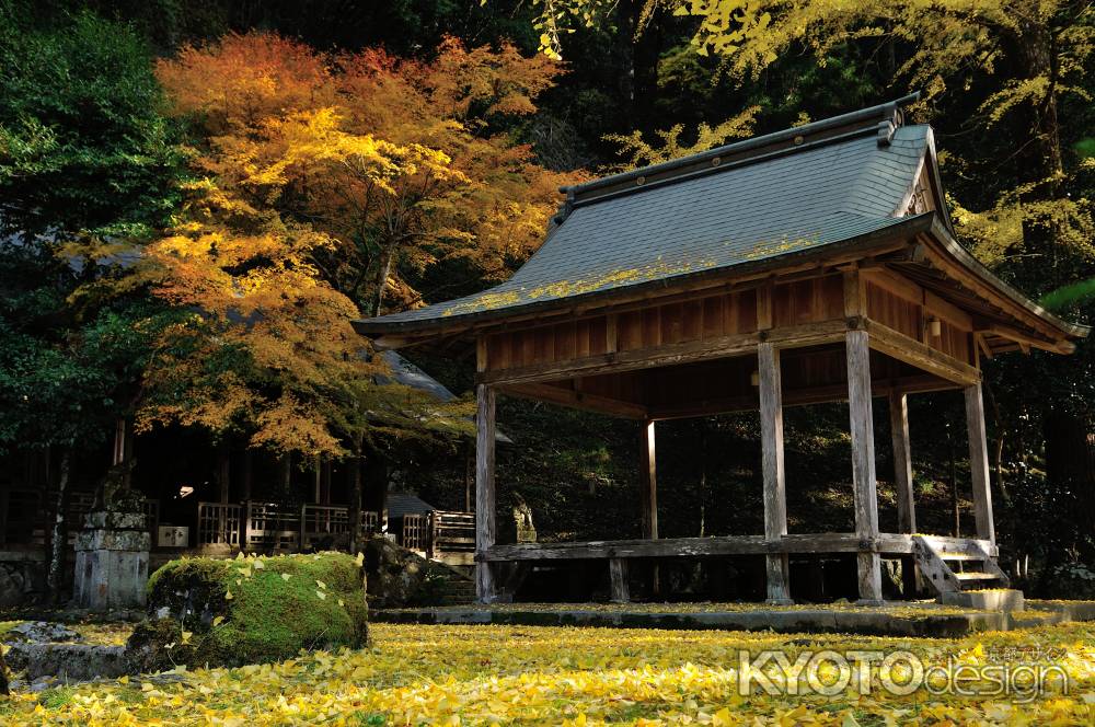 岩戸落葉神社　秋