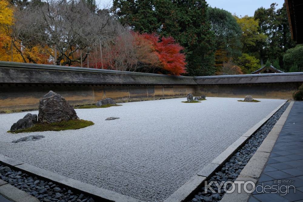 龍安寺　石庭　紅葉