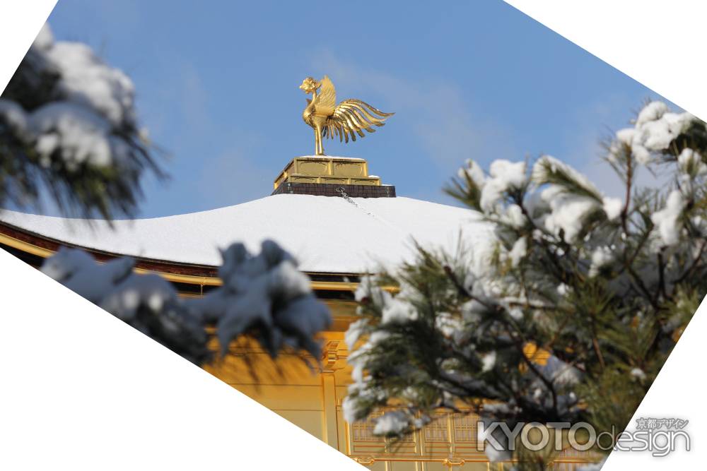 屋根の雪に輝く鳳凰