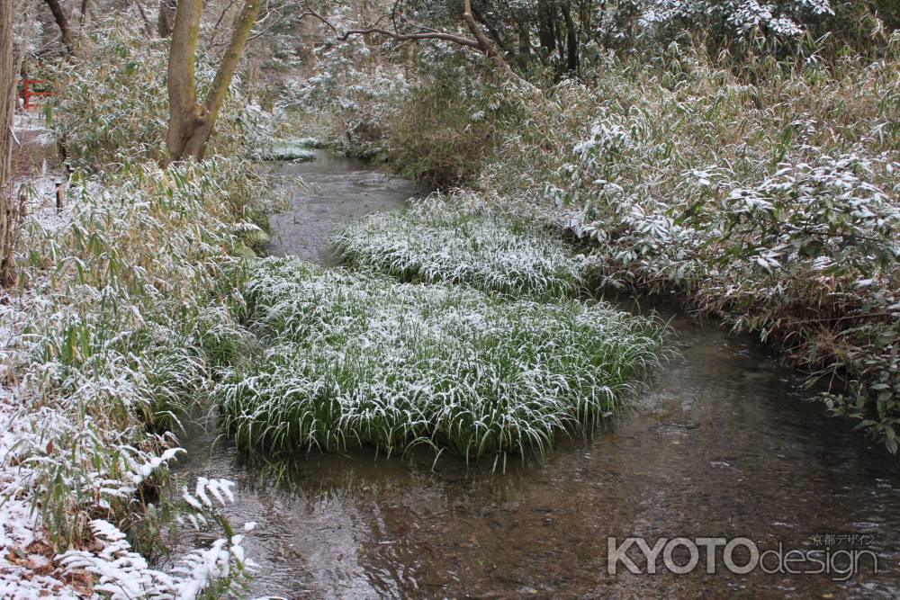 雪化粧をした、糺の森の奈良の小川