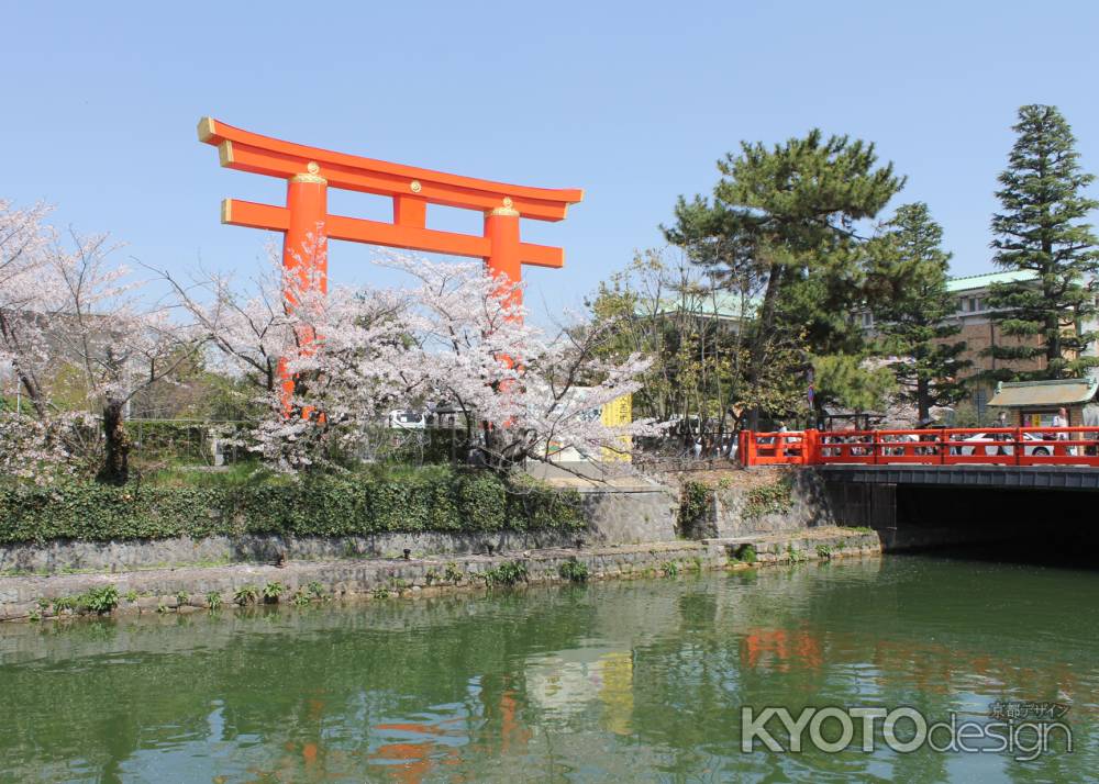 春の疏水と大鳥居