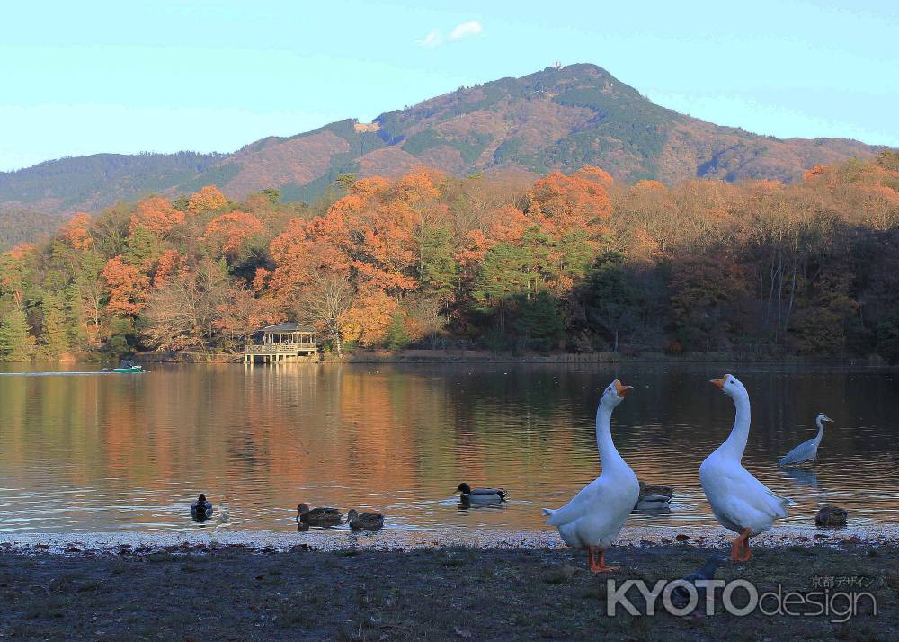 晩秋の落日に憩う