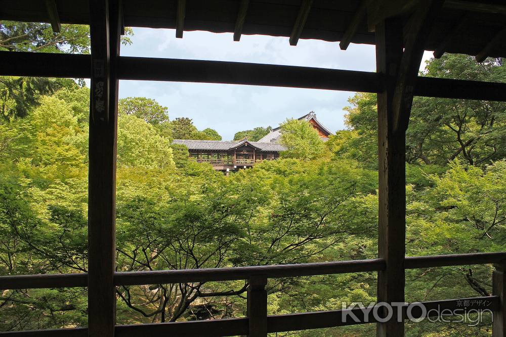 青もみじに包まれた通天橋