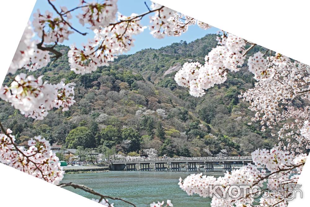 桜咲く嵐山