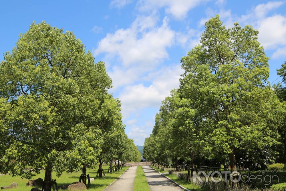 宝が池公園への道