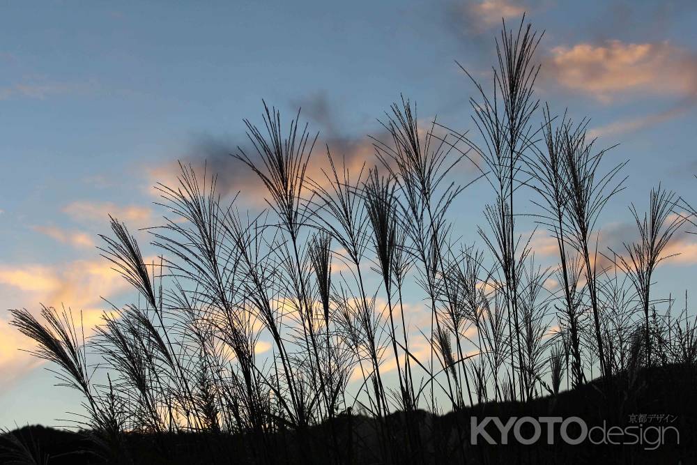 夕焼小焼け