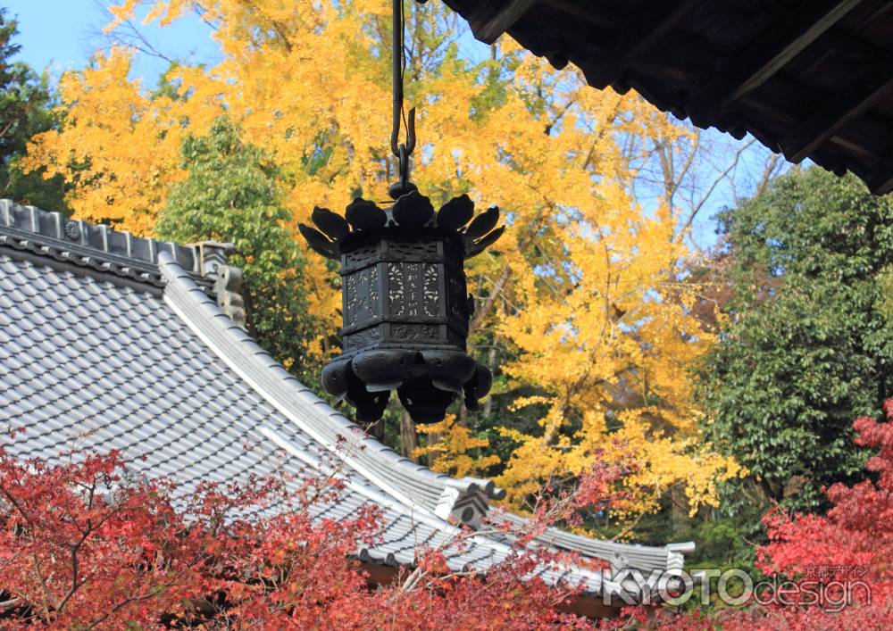 紅葉の赤山禅院