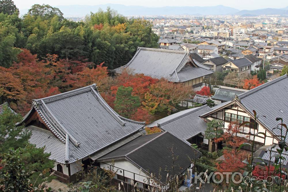 秋の圓光寺