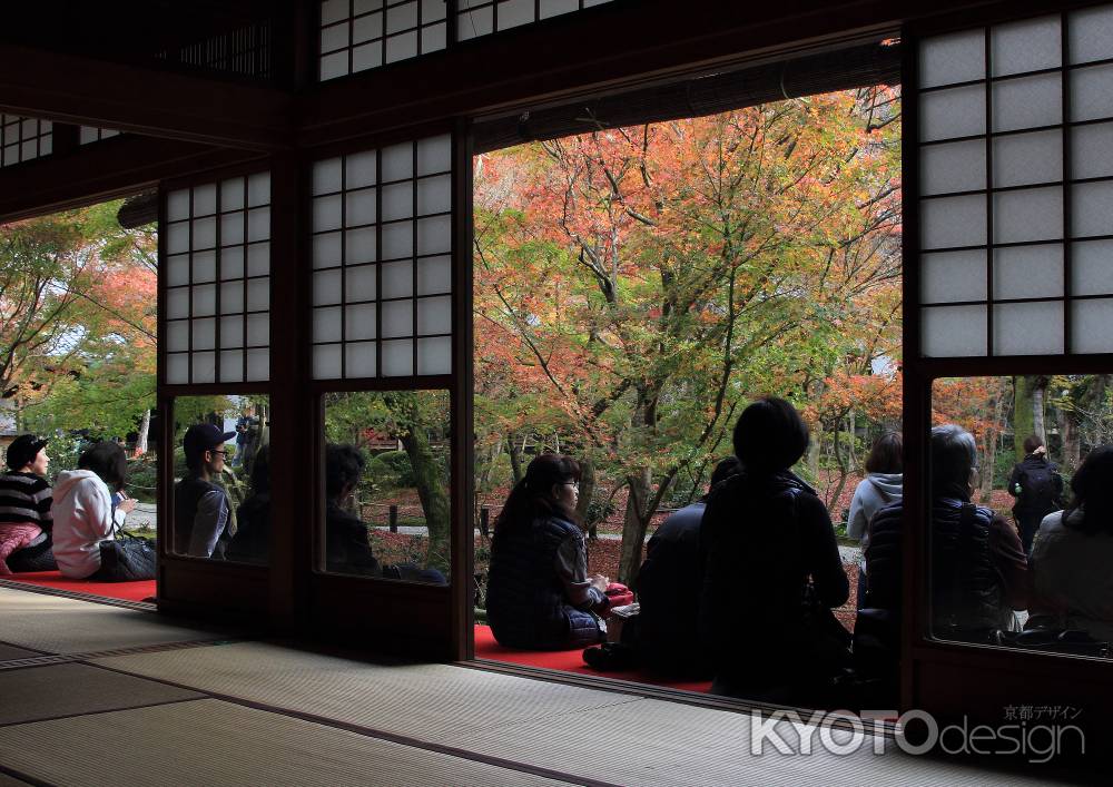 紅葉の圓光寺にて