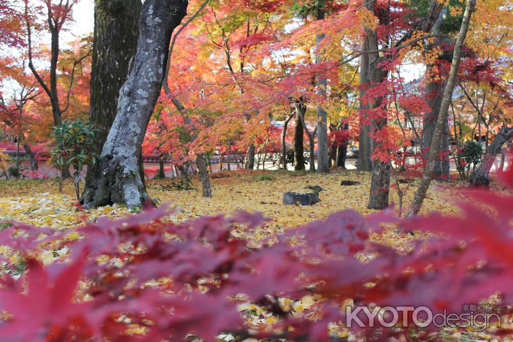 紅葉の永観堂境内