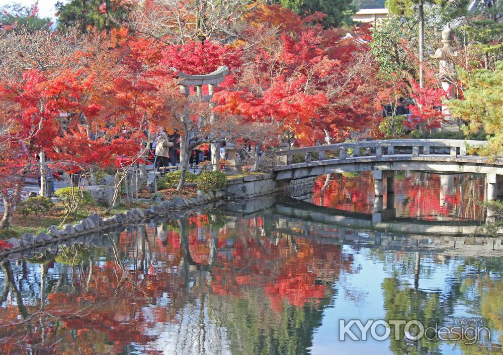 放生池に映る紅葉