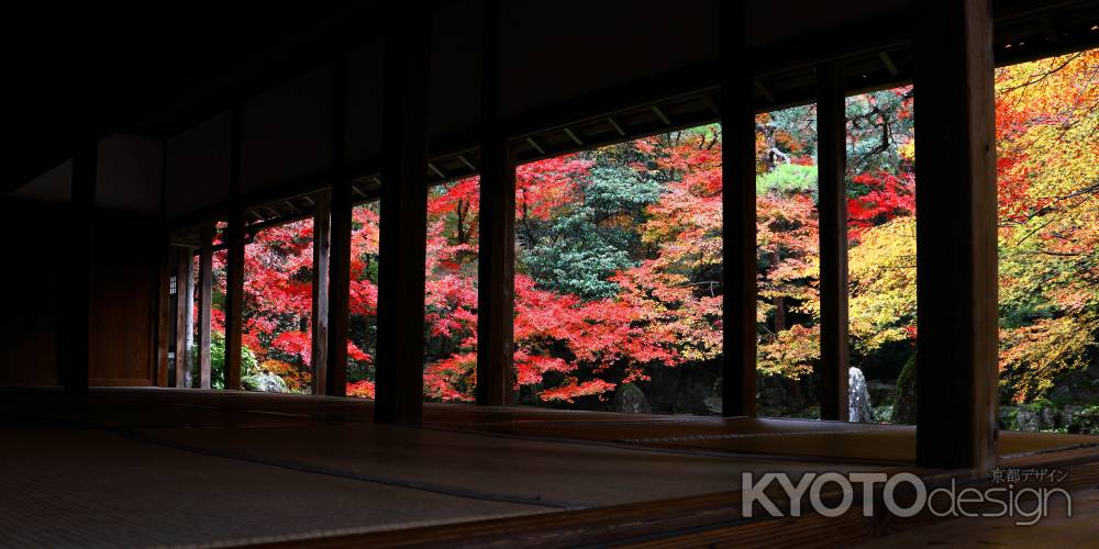 蓮華寺の紅葉