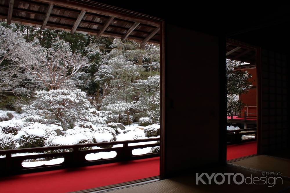 曼殊院門跡　雪の庭園