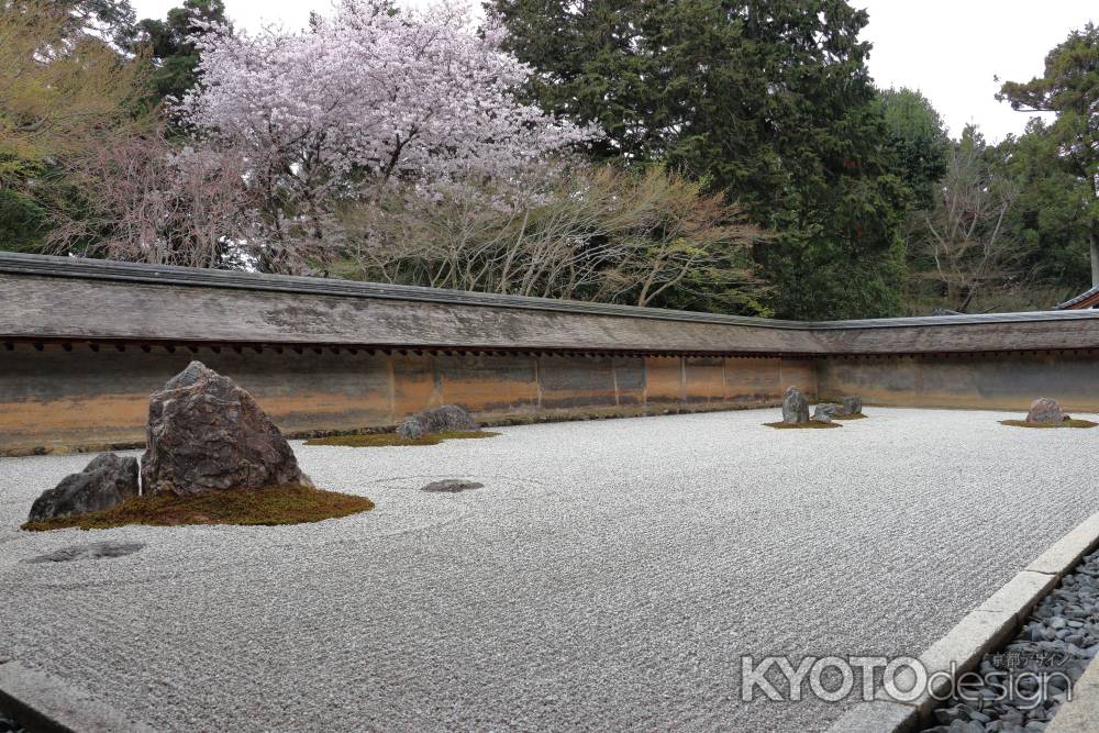 春の龍安寺石庭