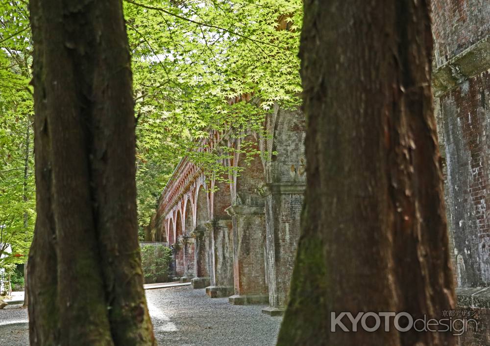 新緑の水路閣