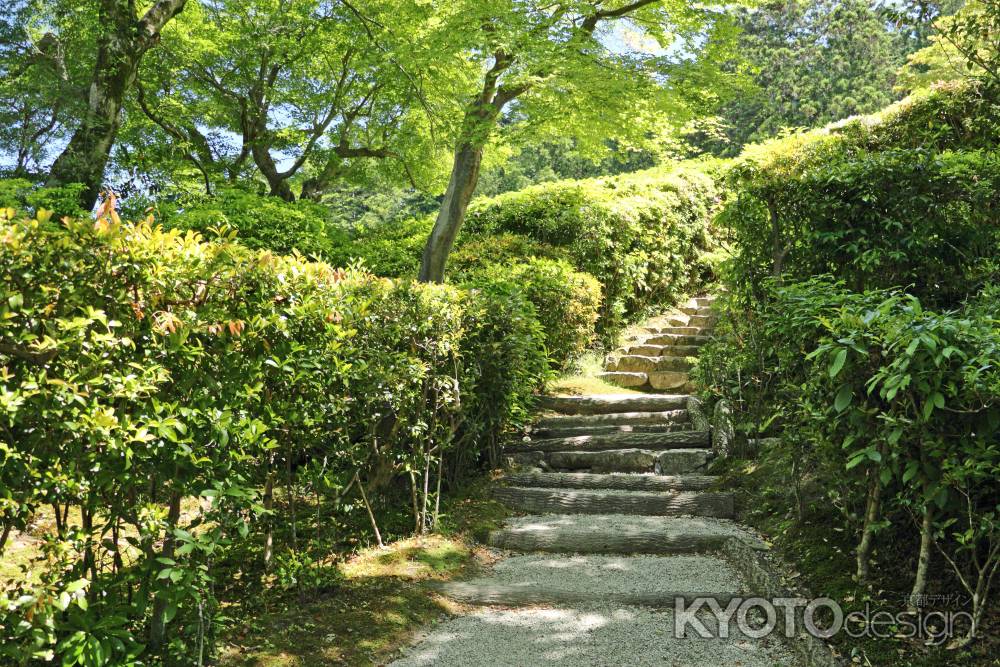 修学院離宮　隣雲亭へのアプローチ