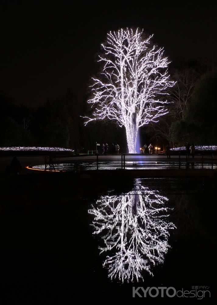 枯れ木にLEDの花が咲く