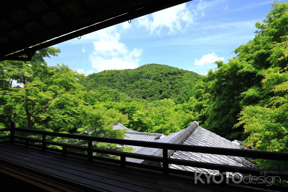 新緑に包まれる瑠璃光院