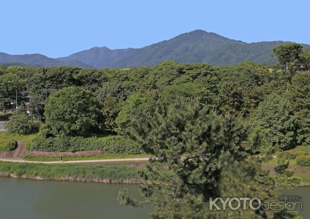 新緑の比叡山