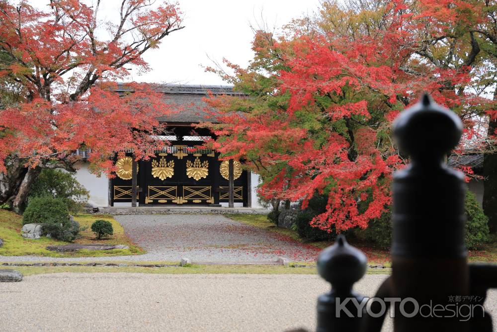 紅葉に包まれた唐門