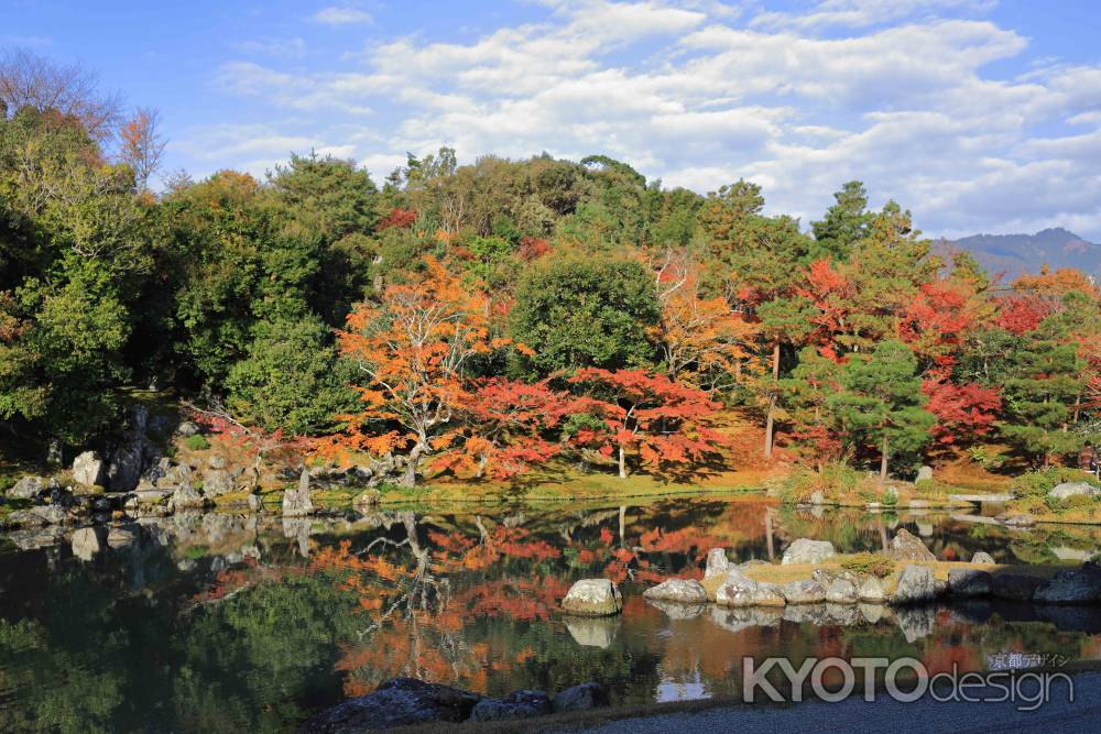 曹源池③