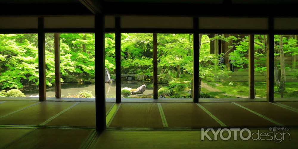 新緑の蓮華寺