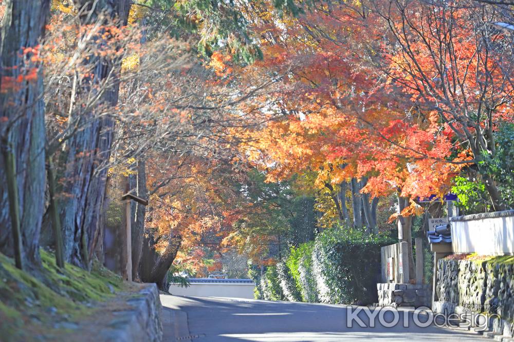 東福寺への参道