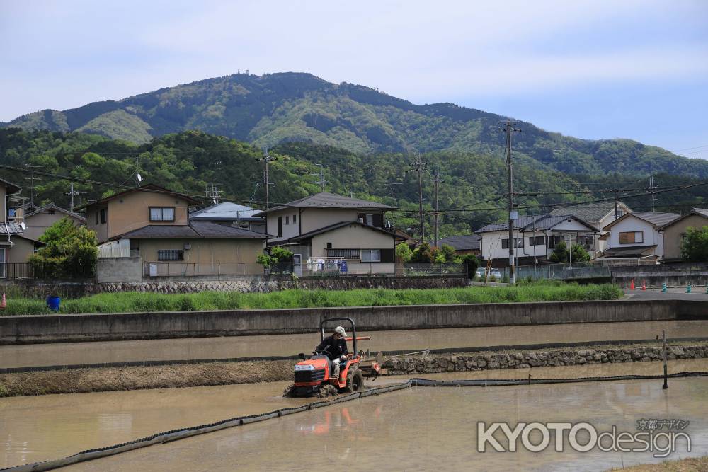 令和2年岩倉で田植えの準備が始まりました