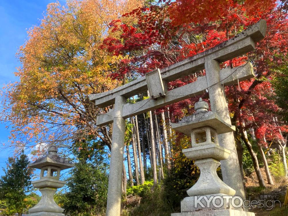 妙見神社の紅葉