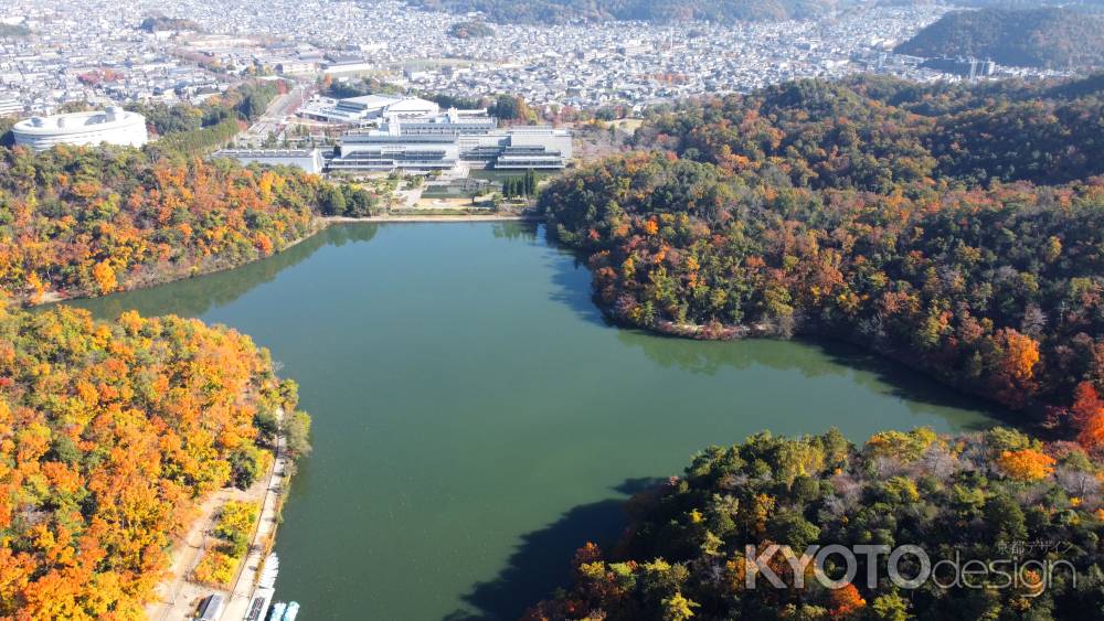 紅葉に包まれた宝が池