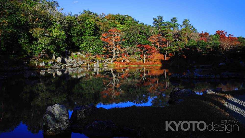 陽が昇り照らし出された天龍寺曹源池庭園のもみじ