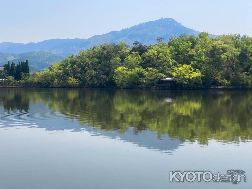 新緑の宝が池