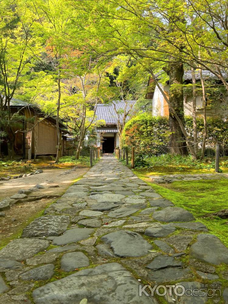 新緑の蓮華寺