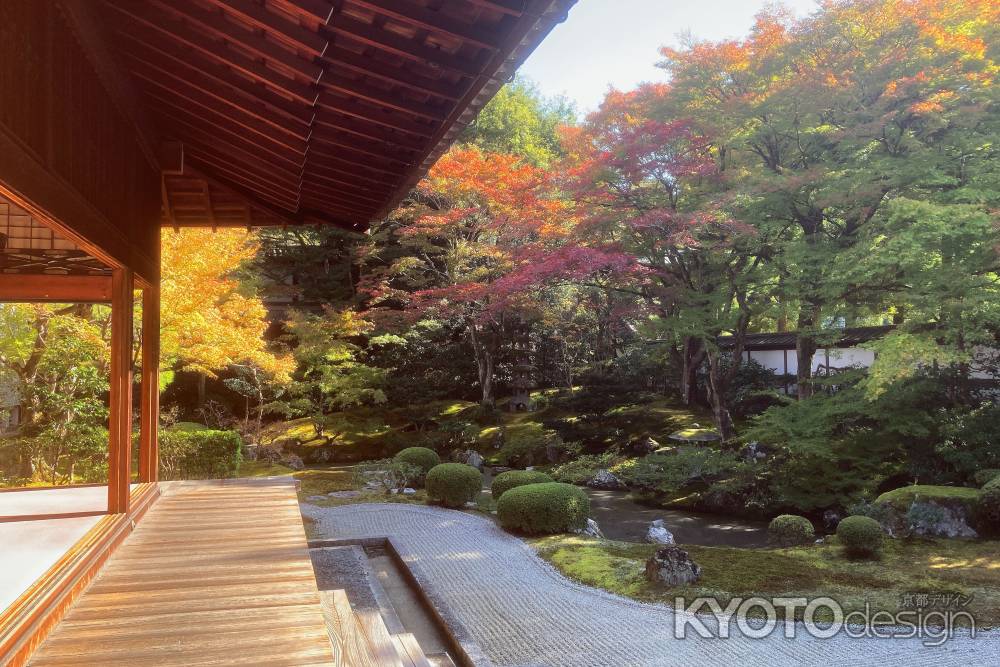 泉涌寺　御座所庭園