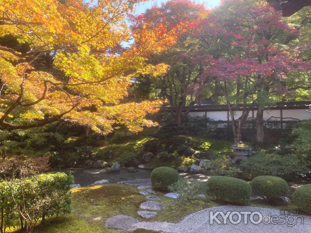 泉涌寺　御座所庭園の紅葉