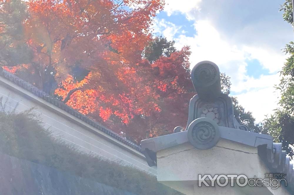 朝靄に紅葉が映える