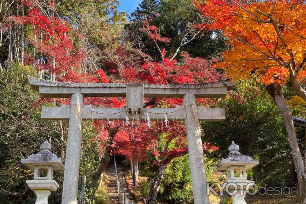 妙見宮参道