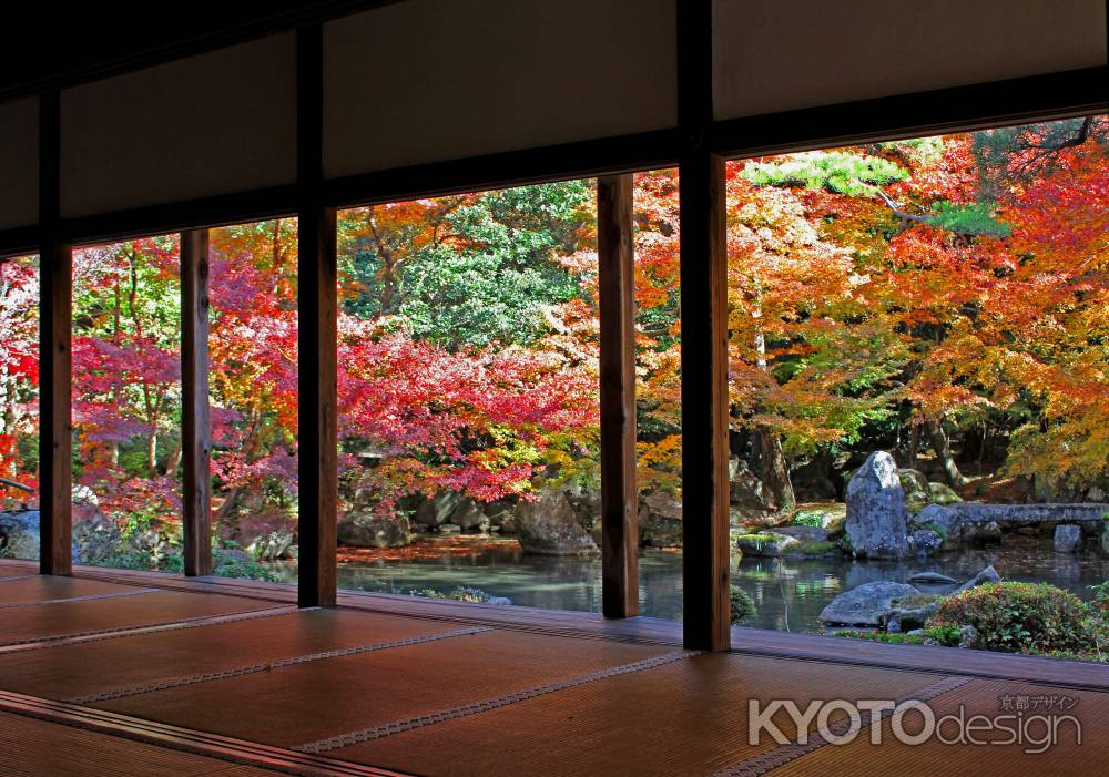 蓮華寺の紅葉