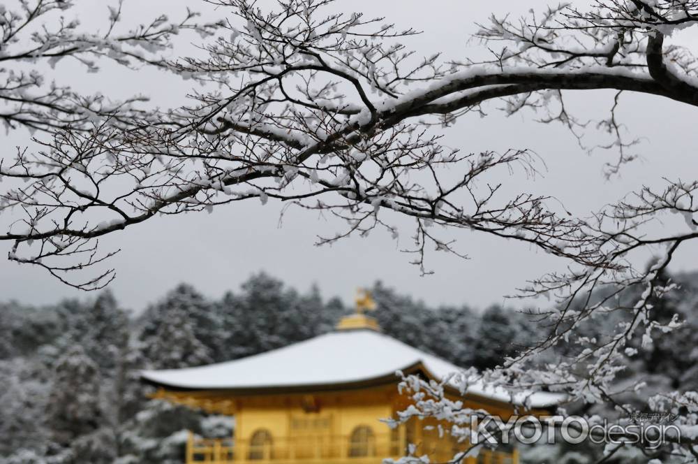 雪の金閣　3