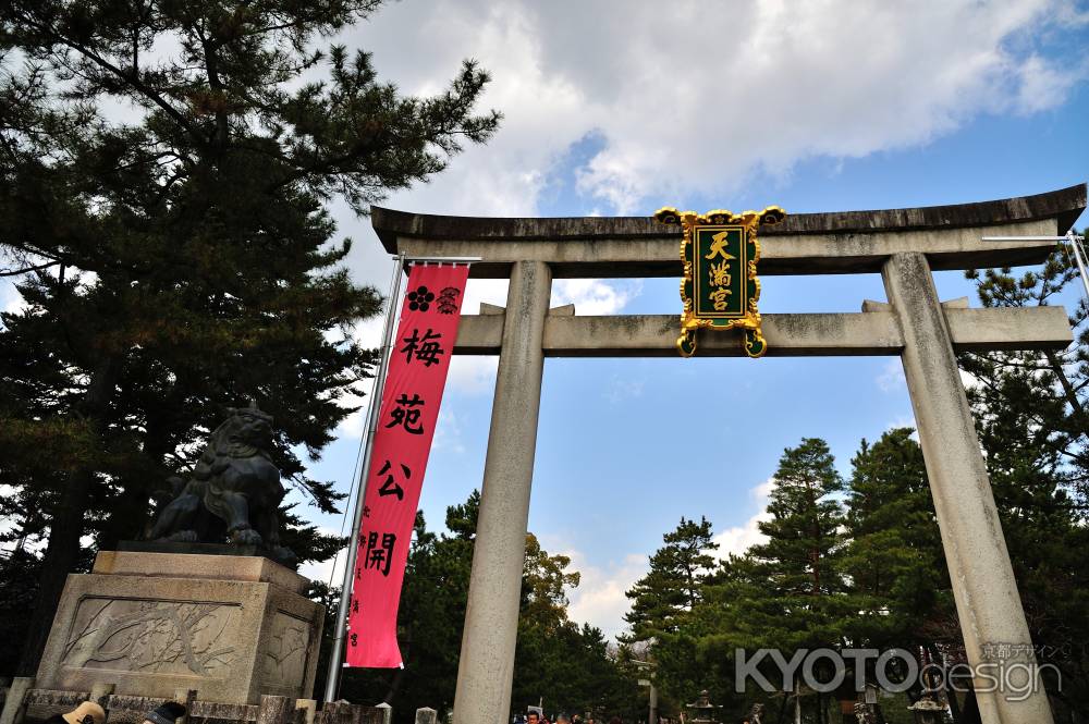 北野天満宮　梅苑公開