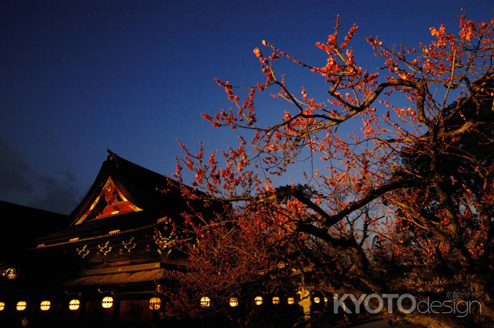 北野天満宮　梅