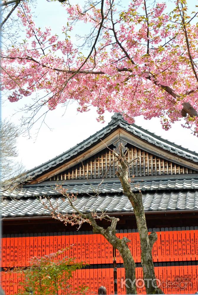 車折神社　早咲き桜　玉垣