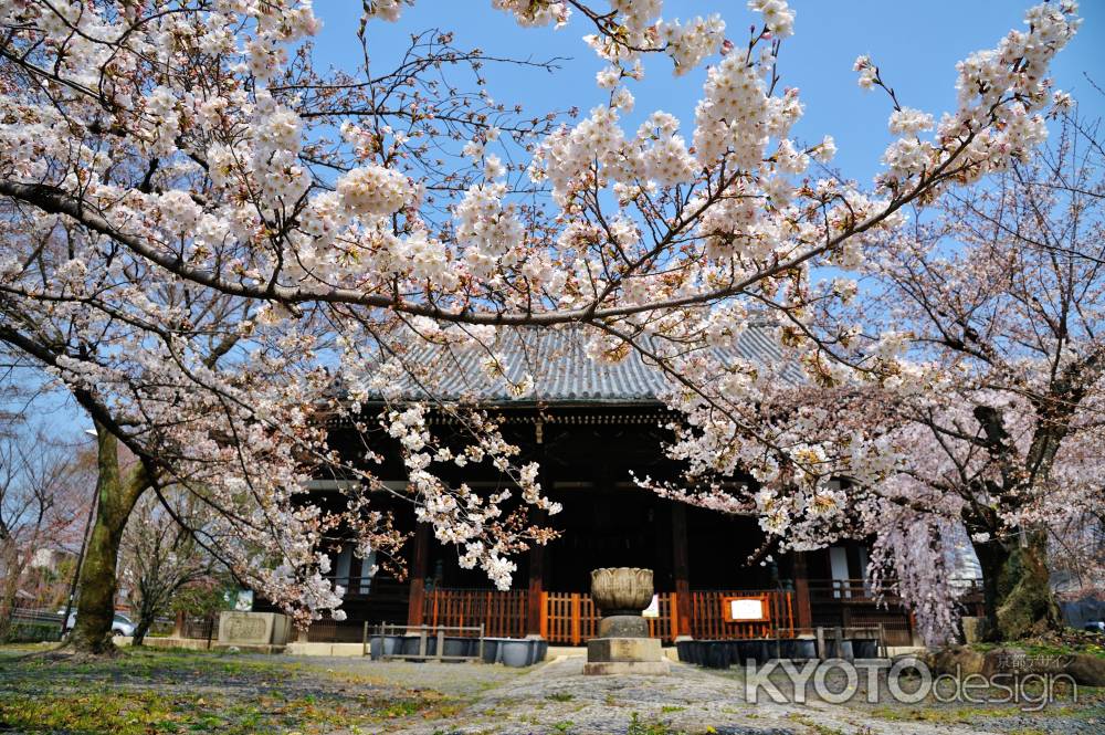 立本寺   参道　