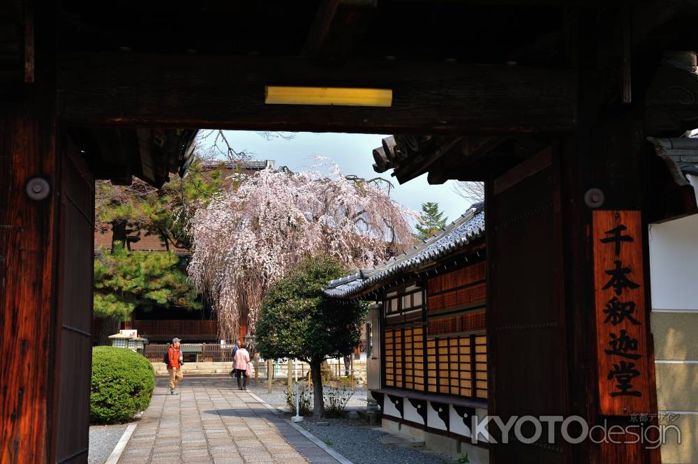 千本釈迦堂（大報恩寺）門から