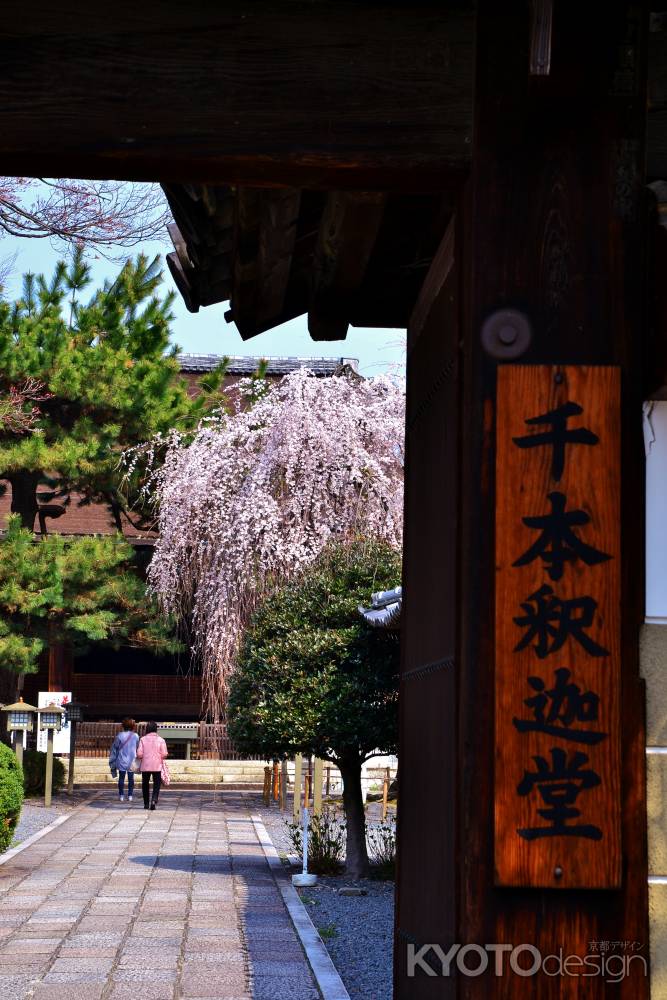 千本釈迦堂（大報恩寺）門から(縦位置)