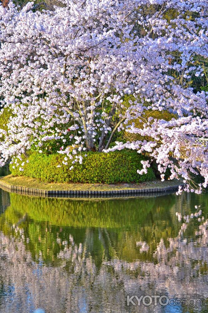 龍安寺　鏡容池伏虎島