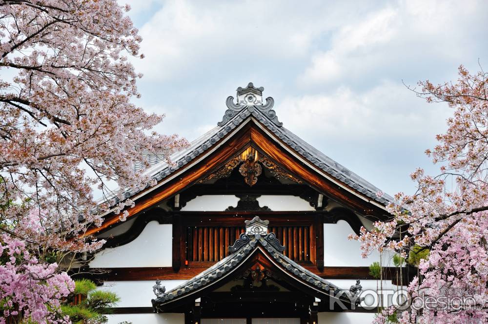 妙顕寺　屋根に舞う