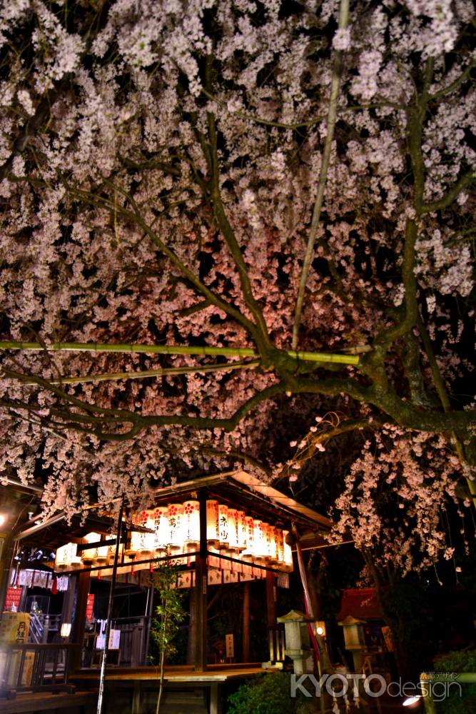 水火天満宮  水難火除けの夜桜