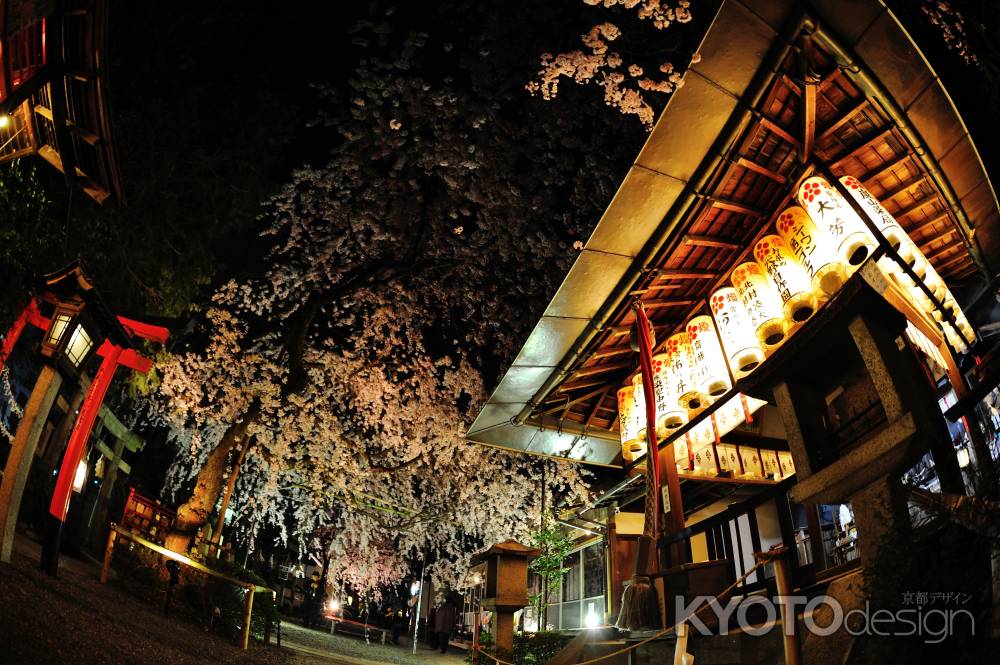 水火天満宮　提灯と夜桜